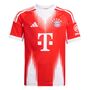 adidas Fcb H Jsy Y - red