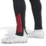 adidas Ajax Tr Pnt - black/white/bolred