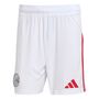 adidas Ajax H Sho - white