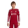 adidas Lfc H Jsy Yl - strred