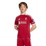 adidas Lfc H Jsy Y - strred