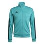 adidas M Tiro Wm Tt - purtea/black