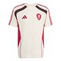 adidas Lfc Ubp Tee - wonwhi