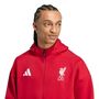 adidas Lfc Anth Jacke - strred