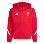 adidas Lfc Anth Jkty - strred