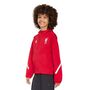 adidas Lfc Anth Jkty - strred