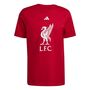 adidas Lfc Dna Gr Tee - strred