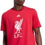 adidas Lfc Dna Gr Tee - strred