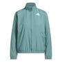 adidas Crazylite Jkt - powtea/white