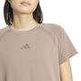 adidas Seamless Tshirt - chabrn/earstr