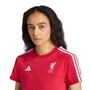 adidas Lfc Wmn 3S Tee - strred