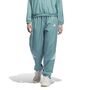 adidas Crazylite Pant - powtea/white