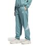 adidas Crazylite Pant - powtea/white