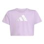 adidas Jg Tr-Es Gl Tee - powplu/silvmt 