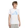 adidas J Bl Tee 160 - white/blufus/globlu