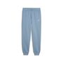 Puma ESS 2 COLOR No. 1 Logo Sweatpants FL B - blau 