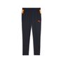 Puma individualCUP Training Pants - blau 