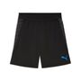 Puma individualCUP Training Shorts - schwarz 