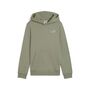 Puma ESS 2 COLOR Small No. 1 Logo Hoodie FL B - gr�n 