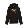 Puma ESS METALLIC Hoodie FL G - schwarz 