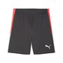 Puma IndividualLIGA Training Shorts 2 (open pockets) - grau 