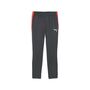Puma IndividualLIGA Training Pants - grau 