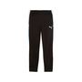 Puma IndividualLIGA Training Pants - schwarz 