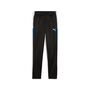 Puma IndividualLIGA Training Pants Jr - schwarz 