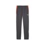 Puma IndividualLIGA Training Pants Jr - grau 