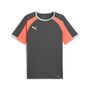 Puma IndividualLIGA Jersey - grau 