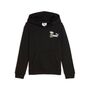 Puma SUPER PUMA Hoodie PS - schwarz 