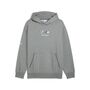 Puma BMW MMS ESS+ HOODIE FLEECE - grau 
