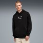 Puma BMW MMS ESS+ HOODIE FLEECE - schwarz