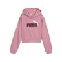 Puma ESS 2 COLOR No. 1 Logo? Short Length Hoodie TR G - pink 
