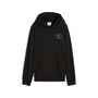 Puma PUMA CLASS Graphic Hoodie TR B - schwarz 