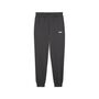 Puma ESS 2 COLOR No. 1 Logo Sweatpants FL cl - grau 