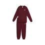 Puma Sweat Suit Relaxed FL cl - rot 