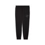 Puma ESS SCRIPT Sweatpants FL cl - schwarz 
