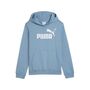 Puma ESS No. 1 Logo Hoodie FL G - blau 