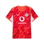 Puma Bvb Gk Jersey Replica Ss With Sponsor - glowing red-silver mist