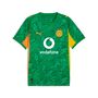 Puma Bvb Gk Jersey Replica Ss With Sponsor - archive green-intense orange