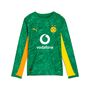 Puma Bvb Gk Jersey Replica Ls Jr With Sponsor - archive green-intense orange
