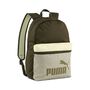 Puma PUMA PHASE COLOR BLOCK Backpack - gr�n 