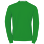 Kempa Player Training Top - grn/wei
