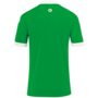 Kempa Player Trikot - gr�n/wei�