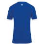 Kempa Player Trikot - royal/wei