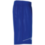 Kempa Reversible Shorts - royal/wei
