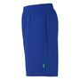 Kempa Team Shorts - royal