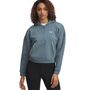 Under Armour Rival Flc Piped Hz Hoodie - jasper blue