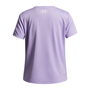 Under Armour Tech Wordmark Graphic Ss - transparent